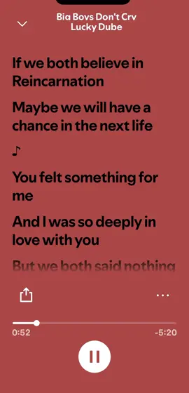 Lucky Dube - Big Boys Don’t Cry. #reggae #luckydubelover❤️❤️ #africa #southafrica #lyrics 