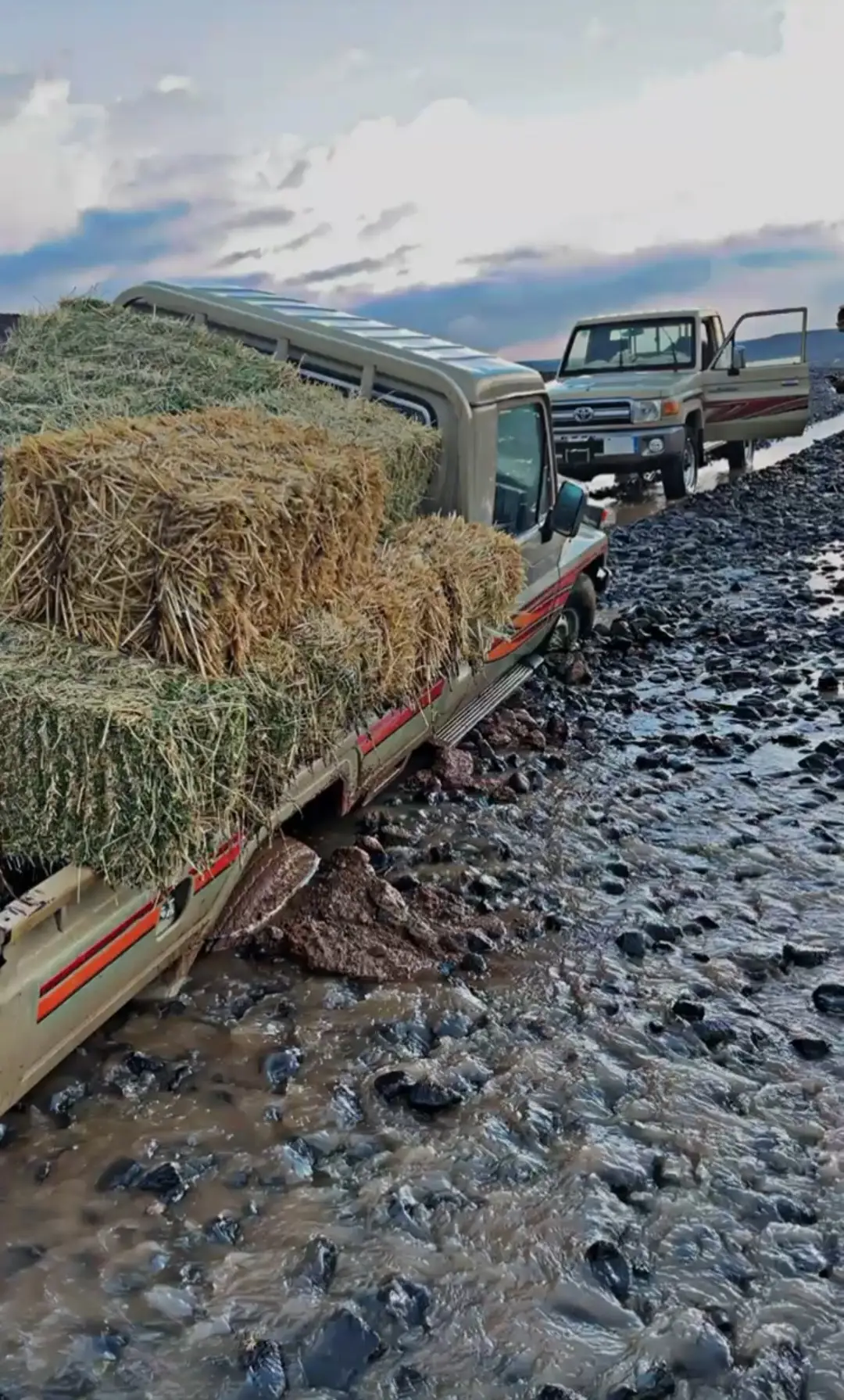 #في هذا اليوم 