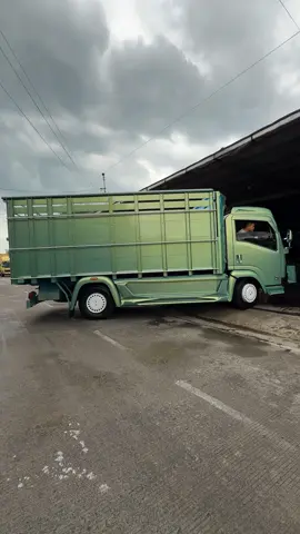 Selera driver muda ? #anugrahmotorofficial 