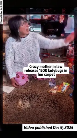 #ladybug #crazy #family #christmas #fyp  