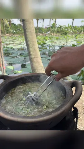 Bạch tuộc nhúng lá me non!tuy quen mà lạ!ngon nha#cobacauxang #monngonmoingay #mientay #monngon #dacsanmientay 