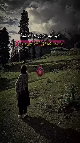 زندگی کی حقیقت کو بس اتنا جانا درد میں اکیلےاور خوشیوں میں زمانہ ہے۔  |Repost Request Please|🤌 .  .  .  #fyp #followme #foryoupage #viral #foryou 