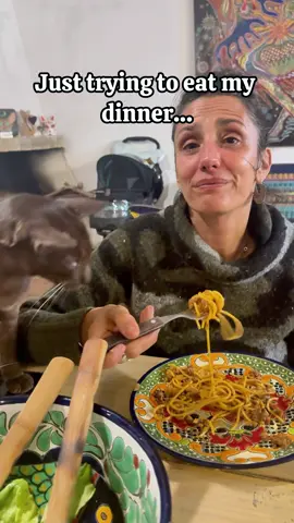 It's just like a bandit!#cat #cats #catslovers #catsoftiktok #funnyvideos #fyp