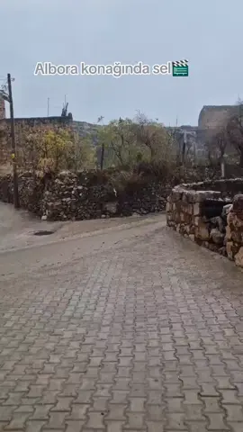 Maşallah bereket yağıyor...😍 #ozanakbaba #sinemunsal #CihAl #KanalD #keşfet 