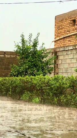 #مطر_غيوم #اجواء_خيالية تفاعلو ❤️🌷