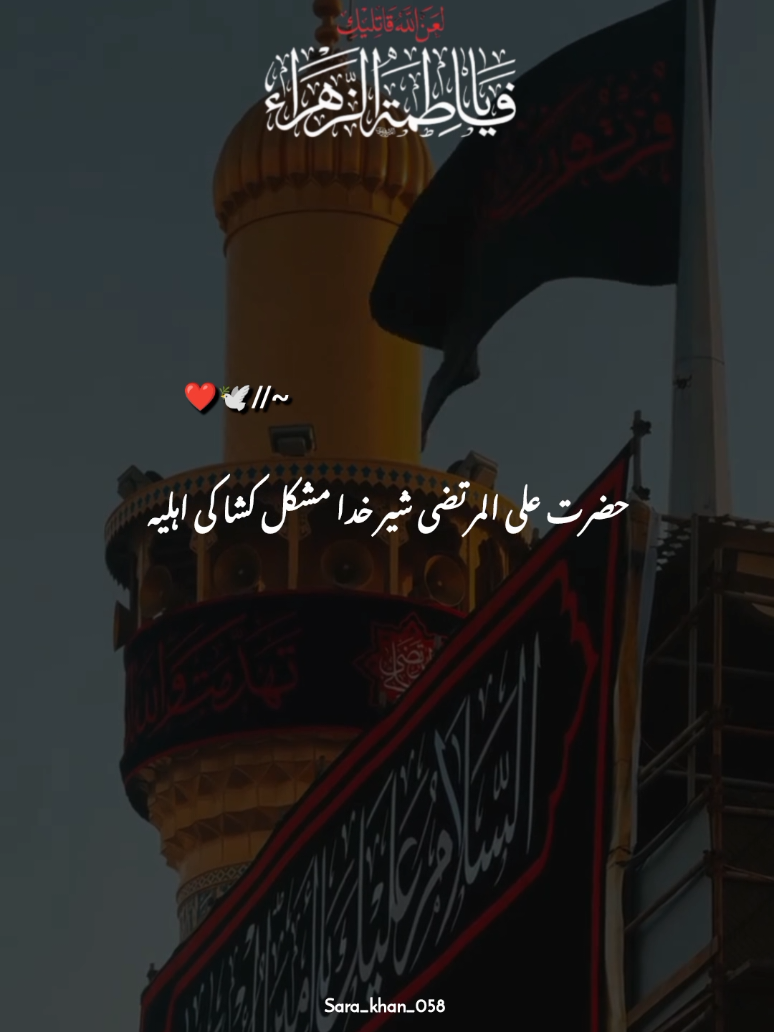 11 December yawm wiladat ✨❤️ || Hazrat Fatima 🥹 || reposted request 🙂🌸 || new_status 😊 #11december #hazratfatima #wiladat #plzunfrezemyaccount #fyp 