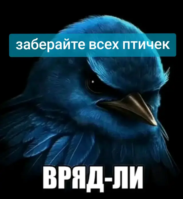 #птички #врядли #мем #фотооченькрутыефото