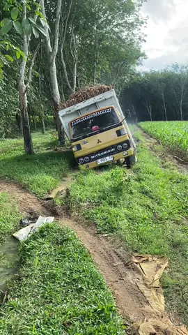 Tua keladii🤟#fypage #fypシ゚viral #singkong 