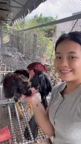 Cảm ơn con gái khi ba vắng nhà