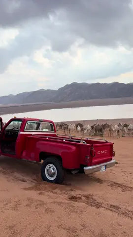 ما شاء الله تبارك الله اجوا حايل اليوم ، ومن يقول الجمس مافيه دفلوك 😂😍🔥🔥 . #حايل #جبال_حايل #جمس #بعارين #نفود_حائل 