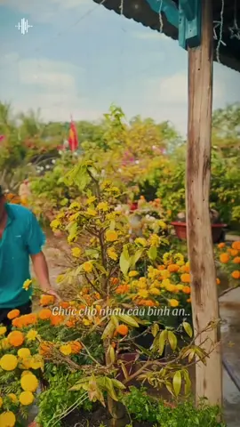 🌸🌸🌸🌸🌸🌸🌸🌸🌸#nhachaymoingay #tet #tet2026 #xuhuong #thanhthoiluottet 