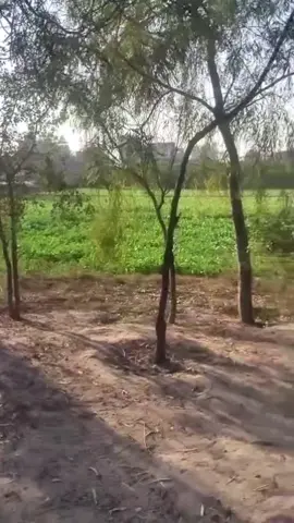 #viralvideo #onemillionaudition 