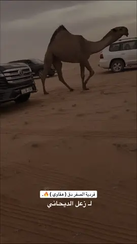 #مطير #اكسبلور #حمران_النواظر #305 #fyp 