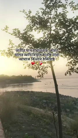 💔✨❤️‍🩹#foryou #foryoupag #bdtiktokofficial🇧🇩 #foryoupageofficiall #unfreeze @For You @TikTok @TikTok Bangladesh 