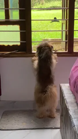 #tiktokviral #trending 