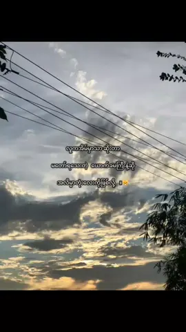 ယောက်ခမနဲ့ဆို လိမ္မာပြရတာပေါ့😸