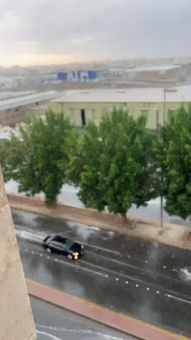 #جده_الان #👁👃👁💞♥️💞 