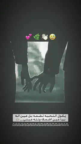 💕🎶🫶🏻 #مشاهدات100k🔥 #اكسبلور #مشاهير_تيك_توك 