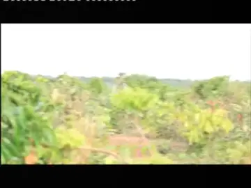 mirash.#kannywood #arewa__tiktok #aasab25