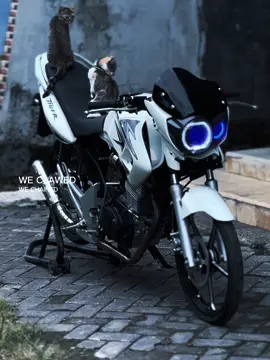 Kesempatan 🤩#tigergenk🚀 #tigerfreedom #tigeralbinogank 