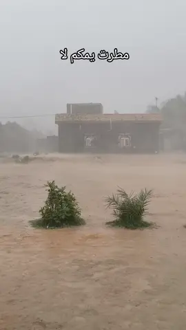 الان امطار في بابل😍#مطر #بابل_الحله #اكسبلورexplore #ترند_تيك_توك #تصويري_احترافي_الاجواء👌🏻🕊😴 