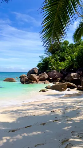 Dream place 🥹 #seychelles #seychellestiktok🇸🇨 #praslin #ocean #landscape 