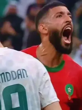 تيسودالي #اسود_الاطلس هاتو المغرب 