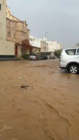 #جده #fyp #goviral 