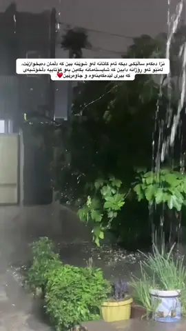 نزا دەکەم♥️. #foryou #fyp #foryoupage #hawler_slemani_dhok_karkuk_hallabja #tiktok 