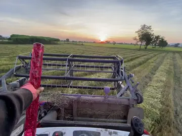 😊😊✌️✌️