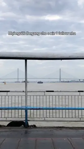 Giúp e được 1k follow nha#ngườimớixâykênh #bộlọc24giờ #ilovetiktok #viral #ypfッ 