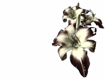 #speedsong #speedupsongs #nightcore #lyrics #fyp  @speed songs | lyrics 