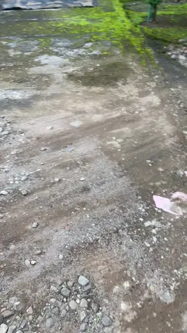 ##alhamdulillah #purwodadi #Pride #fyp #ngawi24jam 