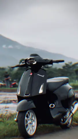 #vespamatic #vespa #vesmet 