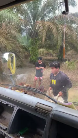 🗿🗿#sawitontiktok #sawitkalimantan #fyppppppppppppppppppppppp #4u 