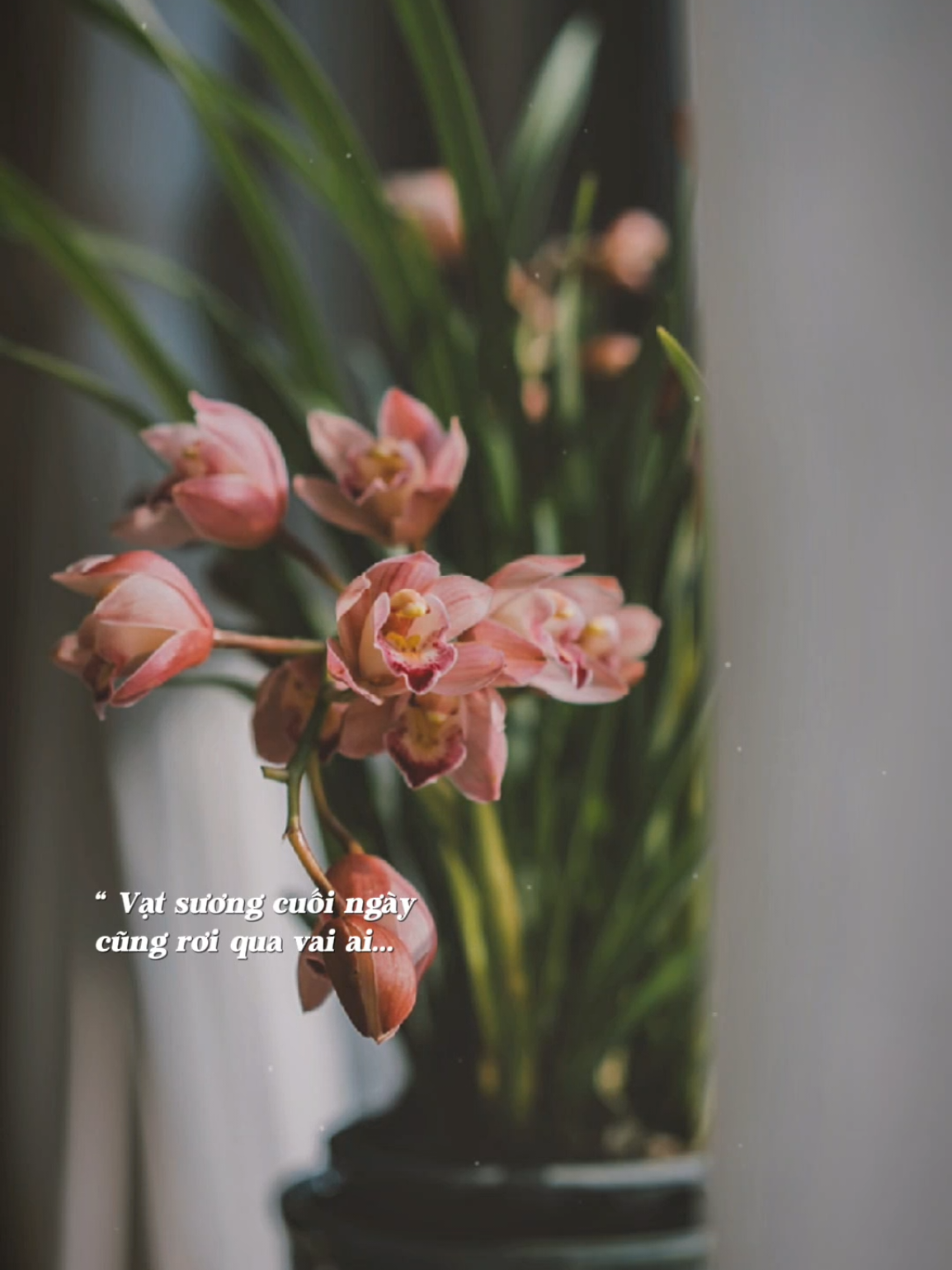 Người lạc giữa đêm sâu  nghe sương rơi cuối phố... #nhachaymoingay #bkmuzic #dangcaynhangian 