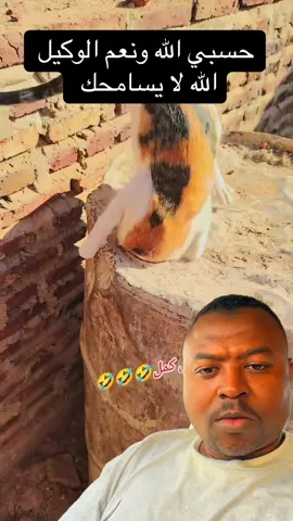 #أبو_وليد🤣 #اكسبلورexplore #الشعب_الصيني_ماله_حل😂😂 #abowaleed👨🏾‍🍳 #ابو_وليد👨🏾‍🍳 