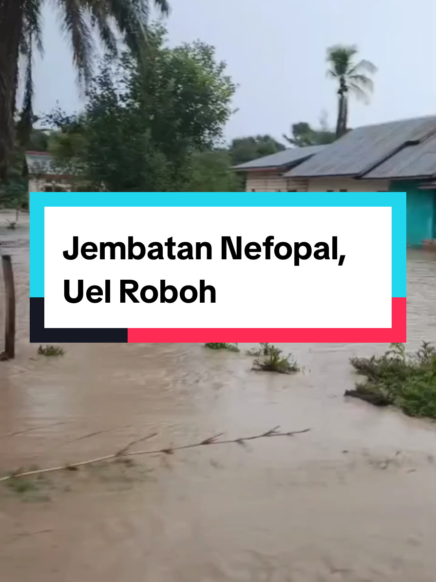 ROB0HNYA JEMBATAN NEFOPAL Hujan deras sejak pagi hingga sore hari, Selasa 9 Desember… kembali membawa kabar duka bagi warga Nefopal. Arus banjir yang deras membuat Jembatan Nefopal kembali roboh. Padahal, jembatan ini pernah roboh tahun 2022… dan bertahun-tahun tidak ada perbaikan. Hingga akhirnya, tahun 2025, Bupati Kupang Yosef Lede bersama masyarakat bergotong-royong memperbaikinya secara swadaya. Perbaikan sederhana itu akhirnya membuka akses. Motor dan pick-up bisa lewat lagi… meski seadanya. Tapi hari ini, semuanya kembali hilang dihantam banjir. “Kini warga tak bisa melintas. Banyak yang hanya bisa berdiri di tepi sungai… menunggu banjir surut. Jembatan Nefopal kembali jadi pengingat bahwa akses dasar masih sangat rapuh di banyak wilayah kita. “Nefopal menunggu solusi yang permanen.” #KupangUpdate #BanjirNTT #JembatanNefopal #InfoKupang