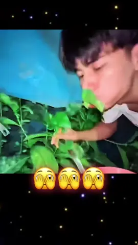 🫣🫣🫣😂😂😂