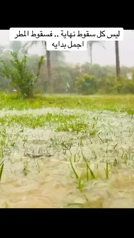 #ليس_كل_سقوط_نهاية_فسقوط_المطر_اجمل_بداية #تصويري_احترافي_الاجواء👌🏻🕊😴 #موسيقى #اجواء_الشتاء 