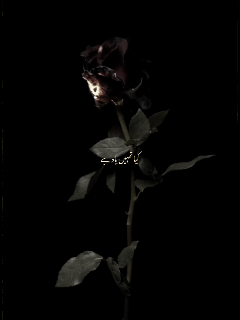 Kya tumhein yaad hai 💕 Poetry | Shayari | Vocals | Slowed Reverb | Status | Old bollywood songs | Alka Yagnik songs | Udit Narayan songs | 90's songs ##fyp #foryou #foryoupage #foryour #vocals