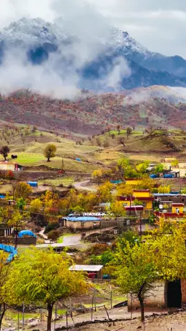 #برادؤست_ميژووی_هؤزيكى_بةهةيبةت #barmiza_bradost_dashtebarazgr🖤🌸 #barmiza_bradost 