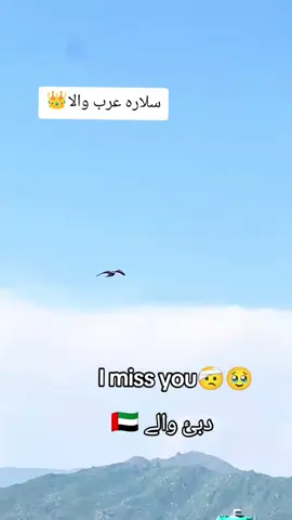 bad luck 😞🥹🌡️ تیری یاداں ❤️ دبئ والے 🇦🇪  #Dubaiwaly🇦🇪#fypシ゚viral🖤tiktok☆♡🦋myvideo❤️❤️🥰🥰💪🍀#dubaipigeronlanding#mydream#10kfollowers😭😭😭😭 