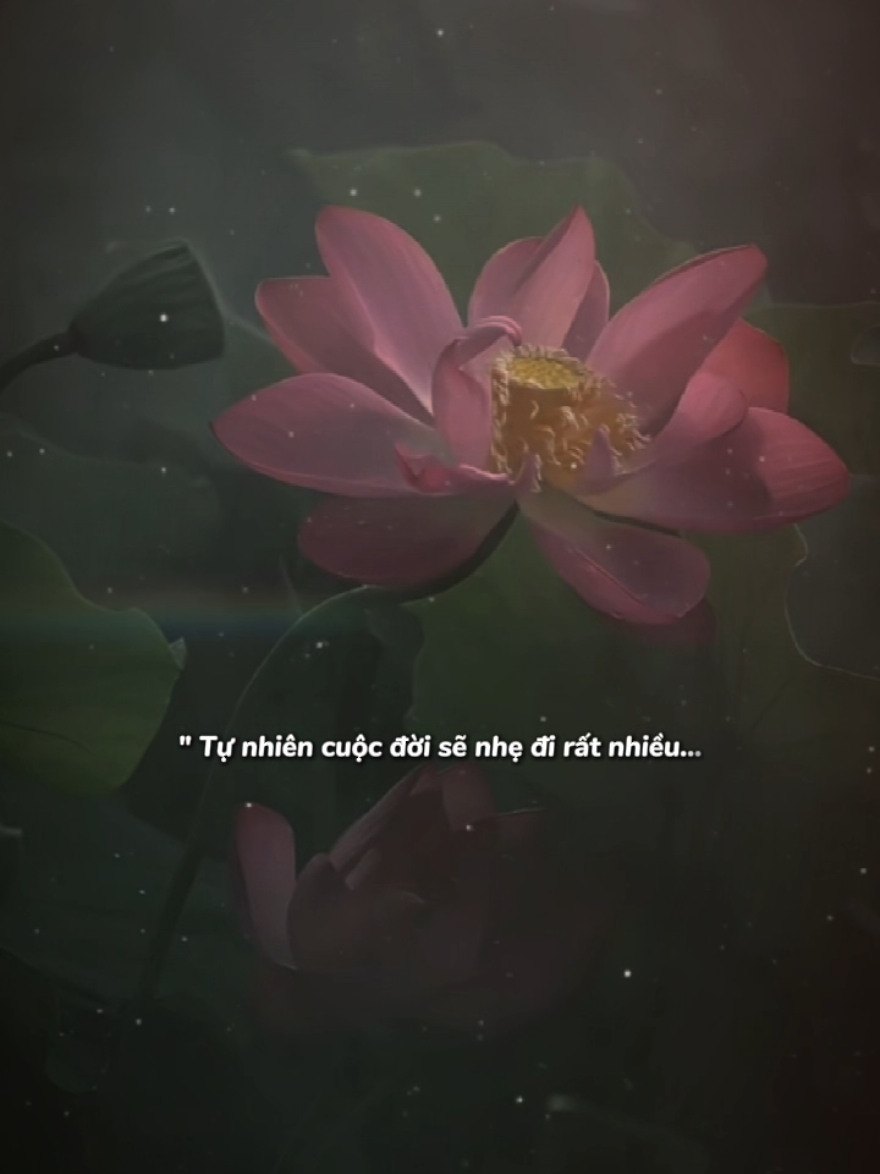 Hãy sống lương thiện  #suymotdoii #chualanhtamhon #podcast #buon #viral 