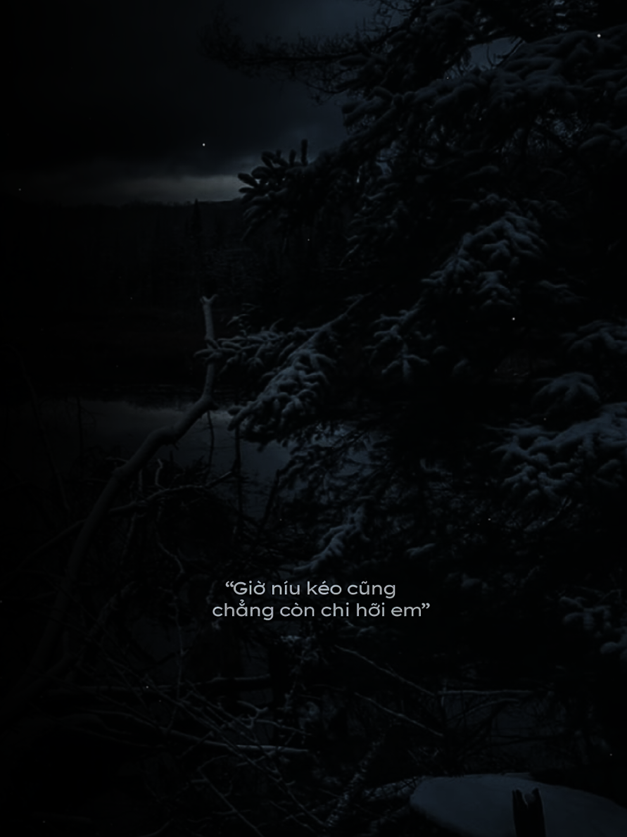 Giá như mình đừng gặp gỡ chắc không thế này  #fpyシ  #nhactamtrang  #nvy_065 #sbtentertainment  #xuhuong2025 