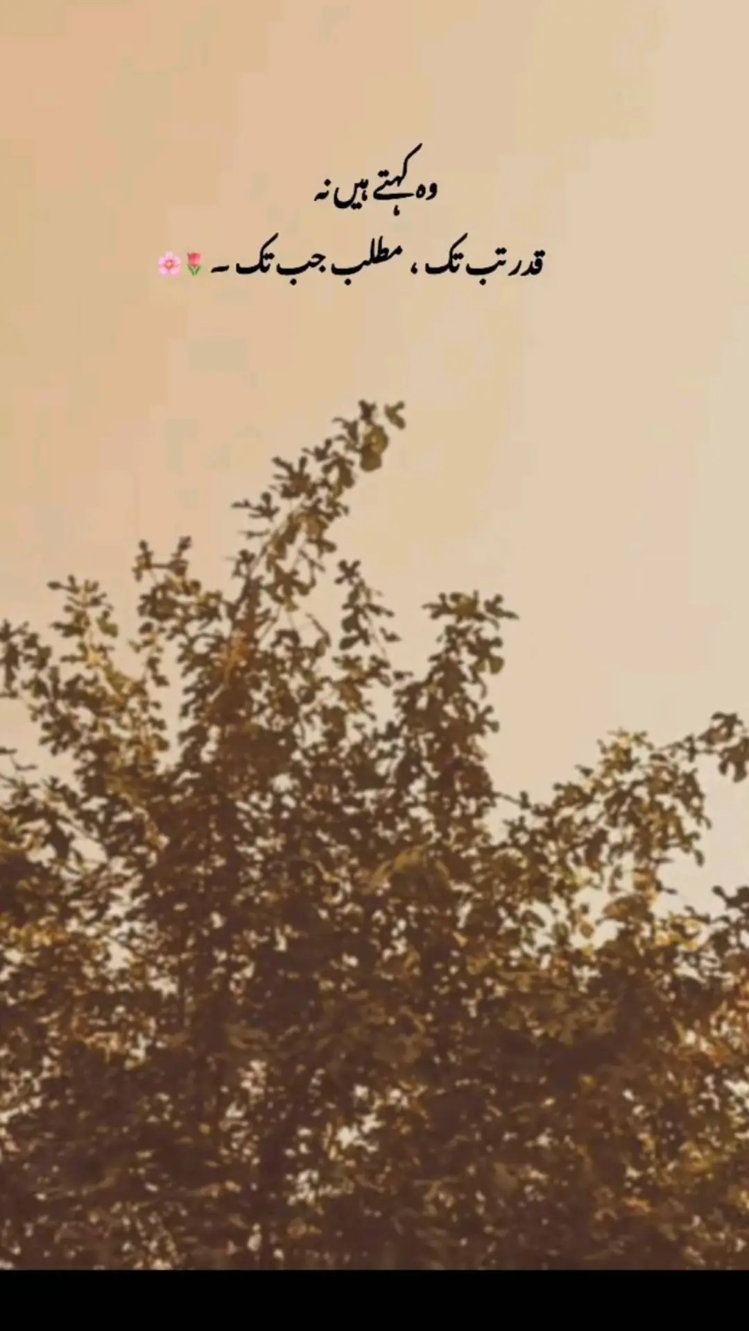 #repostplzunfrezemyaccount💔🥀🙂 #dontunderreviewmyvideo #foryoupageofficiall #foryoupage❤️❤️ #