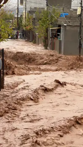 پیرەمەگروون 🌊