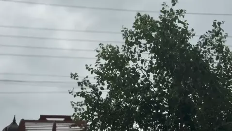 مُطر خير يارب🌷.                                                       #viral_vide #العراق #بصره #fypシ゚viral #explore 