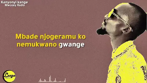 #lenzolyrics1 #radioandweasel #mwozeyradio #viral #foryou 