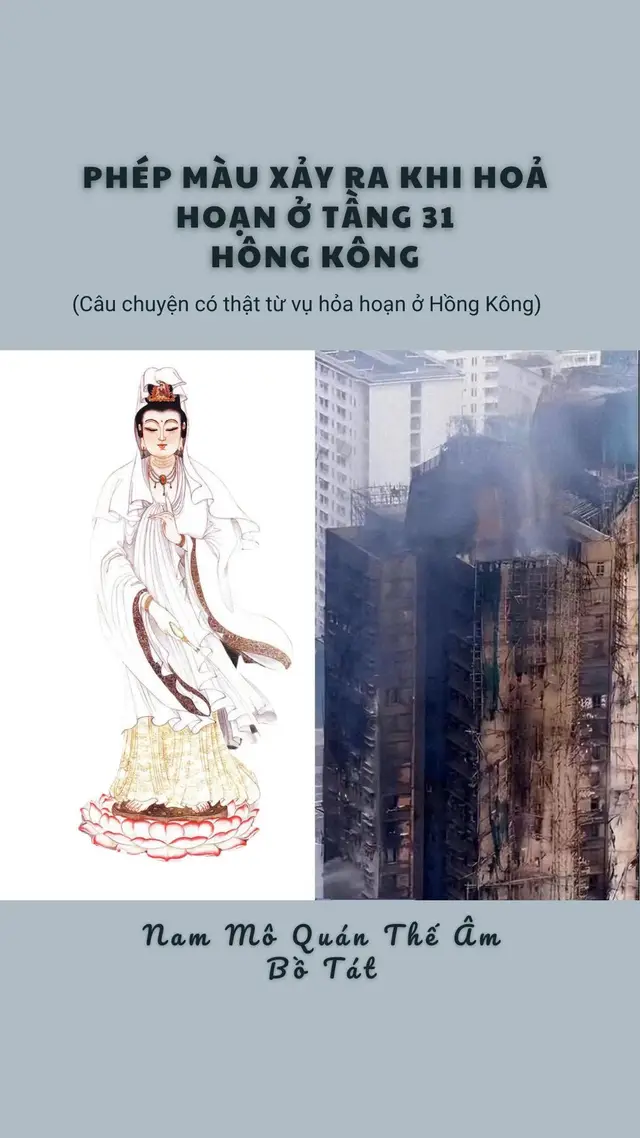 #quantheambotat #adidaphat 